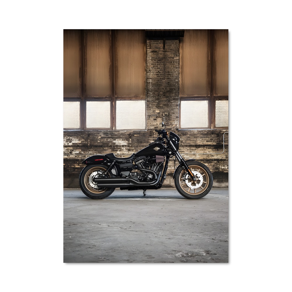 Poster exceptionnel Low rider s